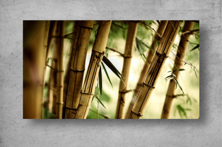 Tapet Premium Canvas - Ramuri de bambus abstract [1]