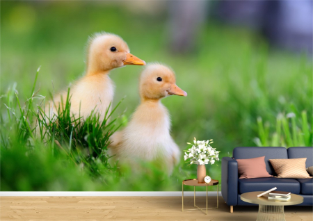 Animale - Tapet Premium Canvas - Ratuste in iarba