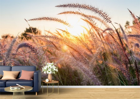 Flori - Tapet Premium Canvas - Spicele in soarele diminetii