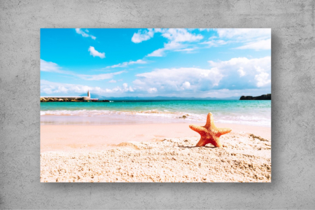Tapet Premium Canvas - Steaua de mare pe plaja insorita [1]