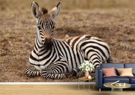 Animale - Tapet Premium Canvas - Zebra in jungla