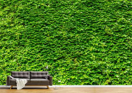 Flori - Tapet Premium Canvas - Zidul verde