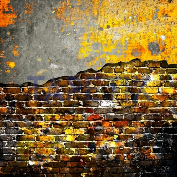 Tablou Grunge Brick Wall [4]