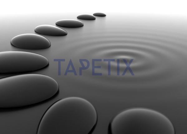 Tablou Pebbles in Water [4]