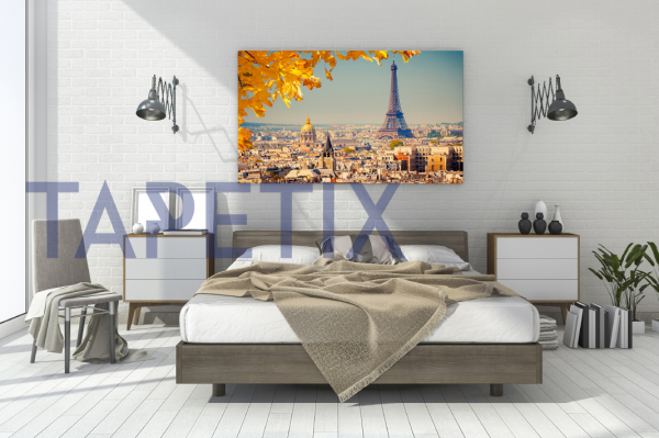 Tablou Paris - Eiffel Tower [3]