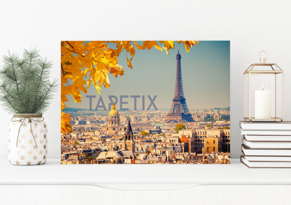 Tablou Paris - Eiffel Tower [1]