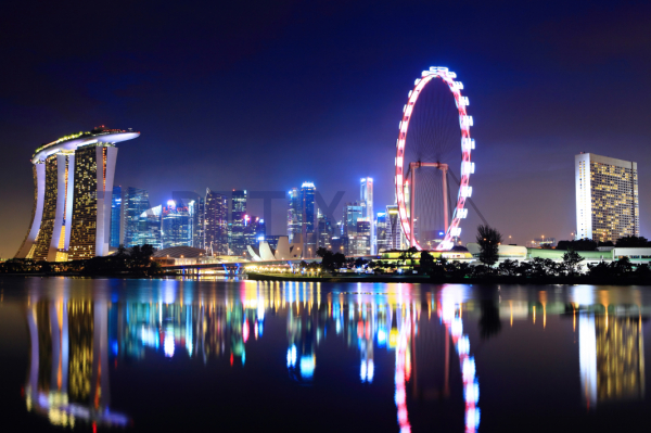 Tablou Singapore City Skyline at night [4]