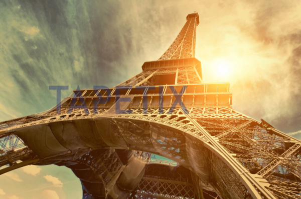 Tablou The Eiffel tower [4]