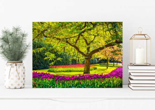 Tablou Spring Garden [1]