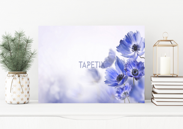 Tablou Blue Flower [1]
