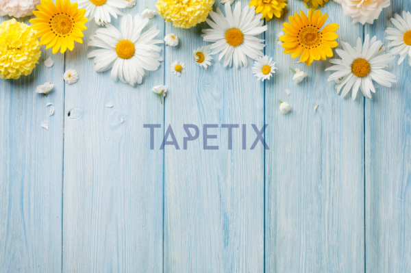 Tablou Garden Flowers [4]