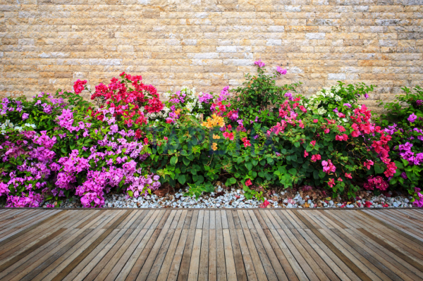 Tablou Flowers in Garden [4]