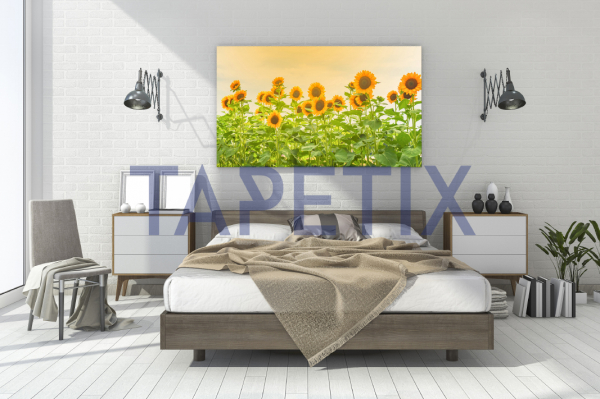 Tablou Floarea Soarelui [3]