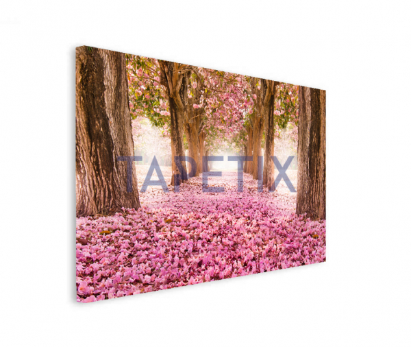 Tablou Pink Flowers [2]