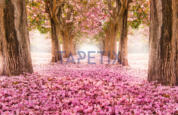 Tablou Pink Flowers [4]