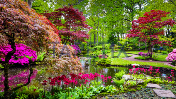 Tablou Japanese Garden [4]