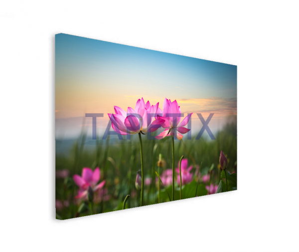 Tablou Flower in Sunset [2]
