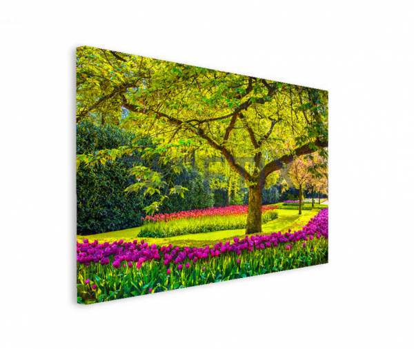 Tablou Spring Garden [2]