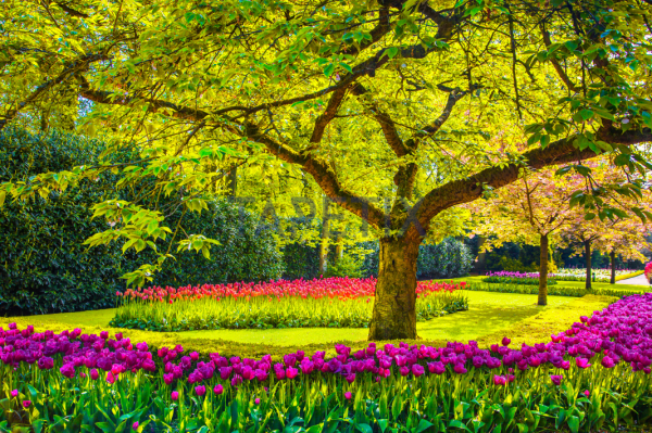 Tablou Spring Garden [4]