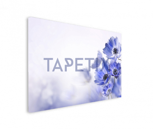 Tablou Blue Flower [2]