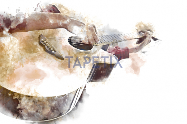 Tablou Acoustic Guitar [4]