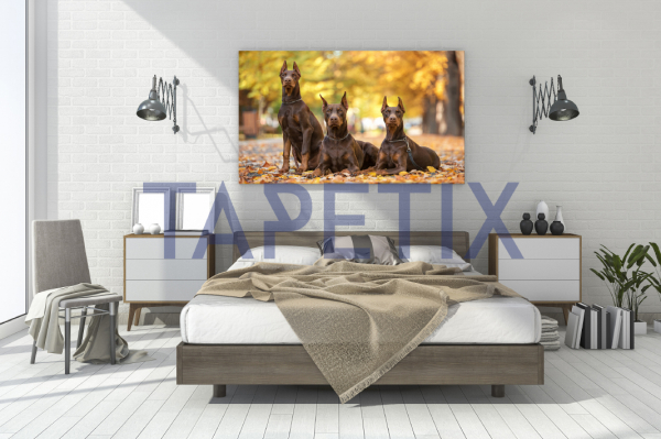 Tablou Doberman Pincher [3]