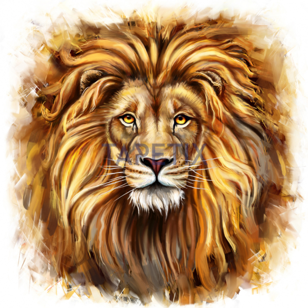 Tablou Lion [4]