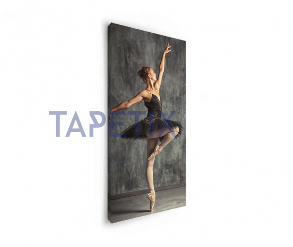 Tablou Young Ballerina [2]