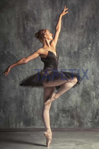 Tablou Young Ballerina [4]
