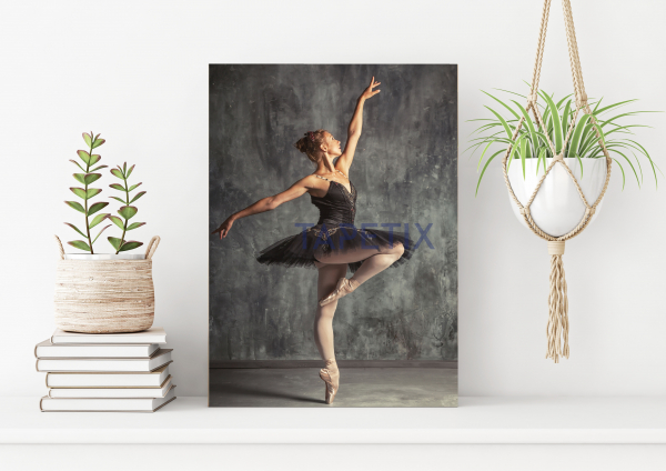 Tablou Young Ballerina [1]