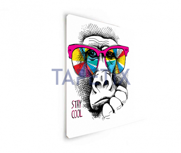 Poster Monkey in  Rainbow [2]