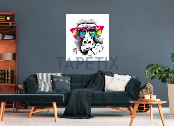 Poster Monkey in  Rainbow [3]