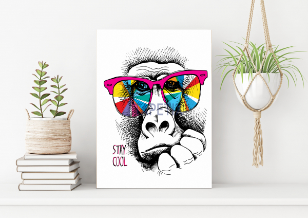 Poster Monkey in  Rainbow [1]