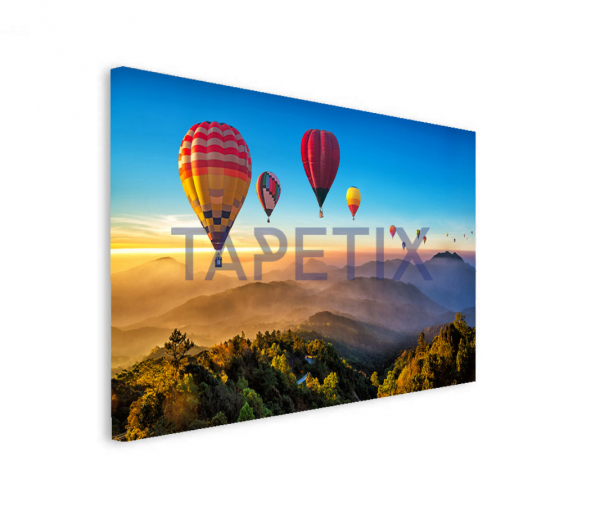 Tablou Hot Air Balloons [2]