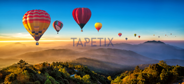 Tablou Hot Air Balloons [4]
