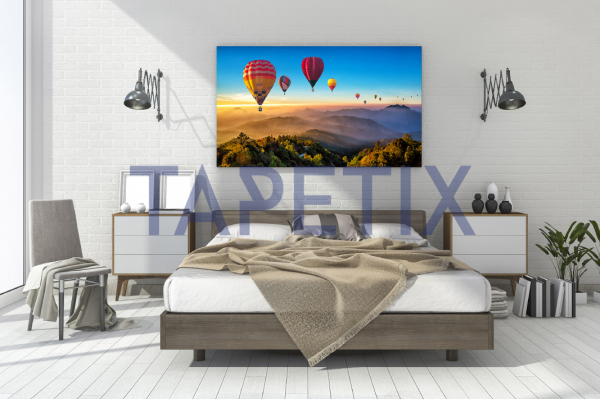 Tablou Hot Air Balloons [3]