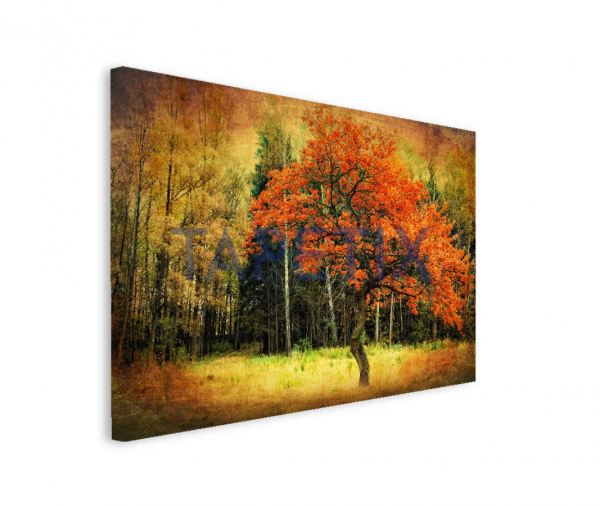 Tablou Lonely Red Tree [2]