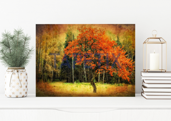 Tablou Lonely Red Tree [1]