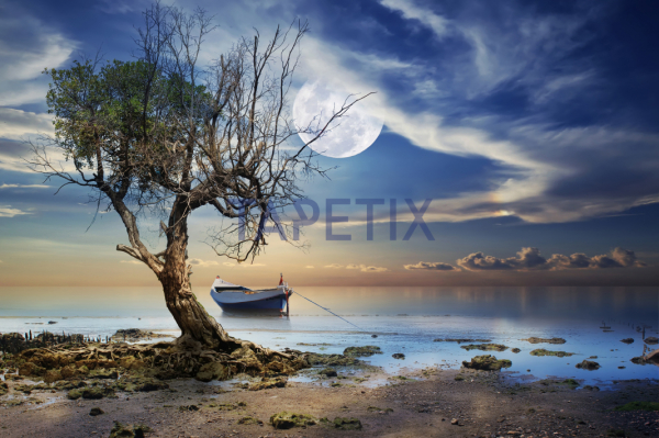 Tablou Old Tree [4]