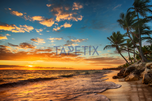 Tablou Tropical Island Beach [4]