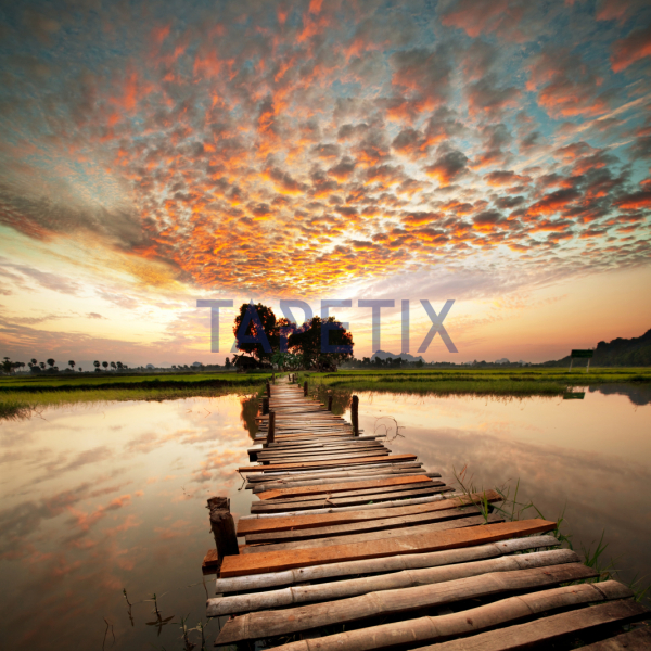 Tablou Tropical River [4]