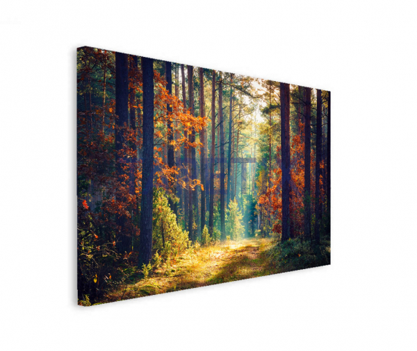 Tablou Colorful Forest [2]