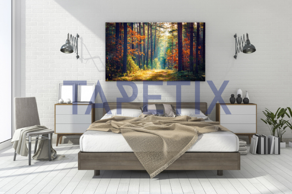 Tablou Colorful Forest [3]