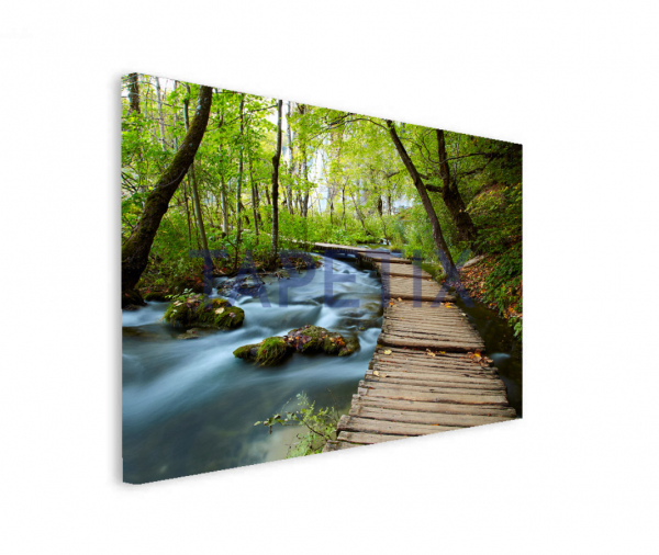Tablou Boardwalk in the Park [2]