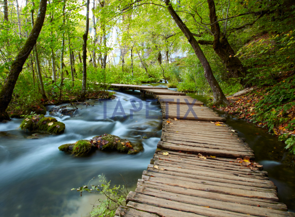 Tablou Boardwalk in the Park [4]