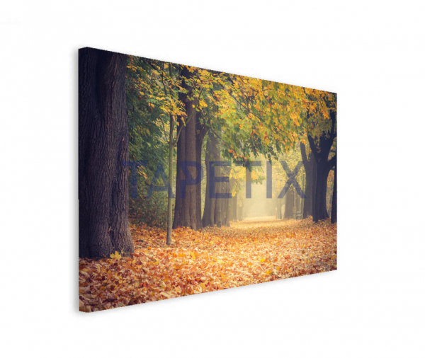 Tablou Alley in the Park [2]