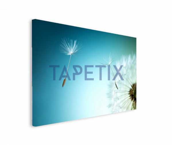 Tablou Papadie [2]