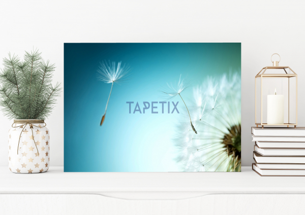 Tablou Papadie [1]