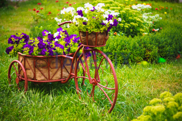 Tablou Basket of Flowers [4]