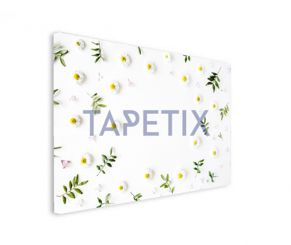 Tablou Floare de Musetel [2]